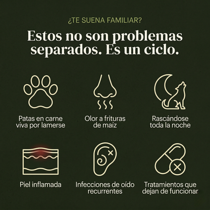 Aerosol posbiótico Mimapet